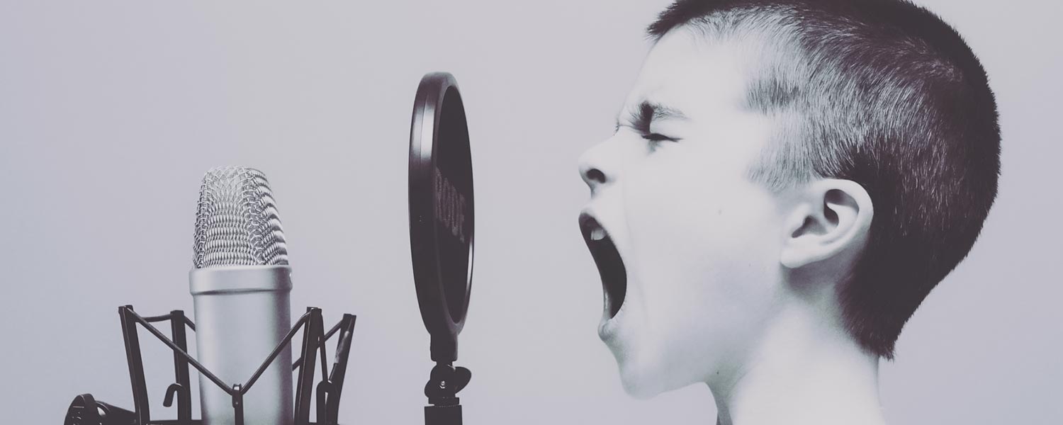 The Voice of Media Nav Evolution. Tylko po polsku